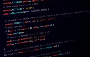 Mobox低代碼開發(fā)系統(tǒng)的OIDataWebService不能啟動(dòng)